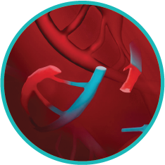 ttmv-hpv-dna-in-blood
