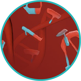 ttmv-hpv-dna-in-blood